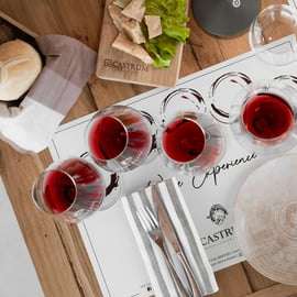 Valpolicella: degustazione di vini su una terrazza spettacolare