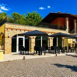Lac de Garde : visite panoramique de l'exploitation et dégustation d'huile