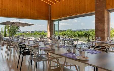 Vinprovning i Valpolicella: vin, olja och persikor
