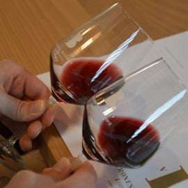 Excursão de meio dia de vinhos: Soave e Amarone em minivan