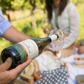 Degusta con nosotros Bardolino, Chiaretto y Lugana, cerca de Verona