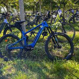 Visite en vélo électrique en Valpolicella, avec dégustation