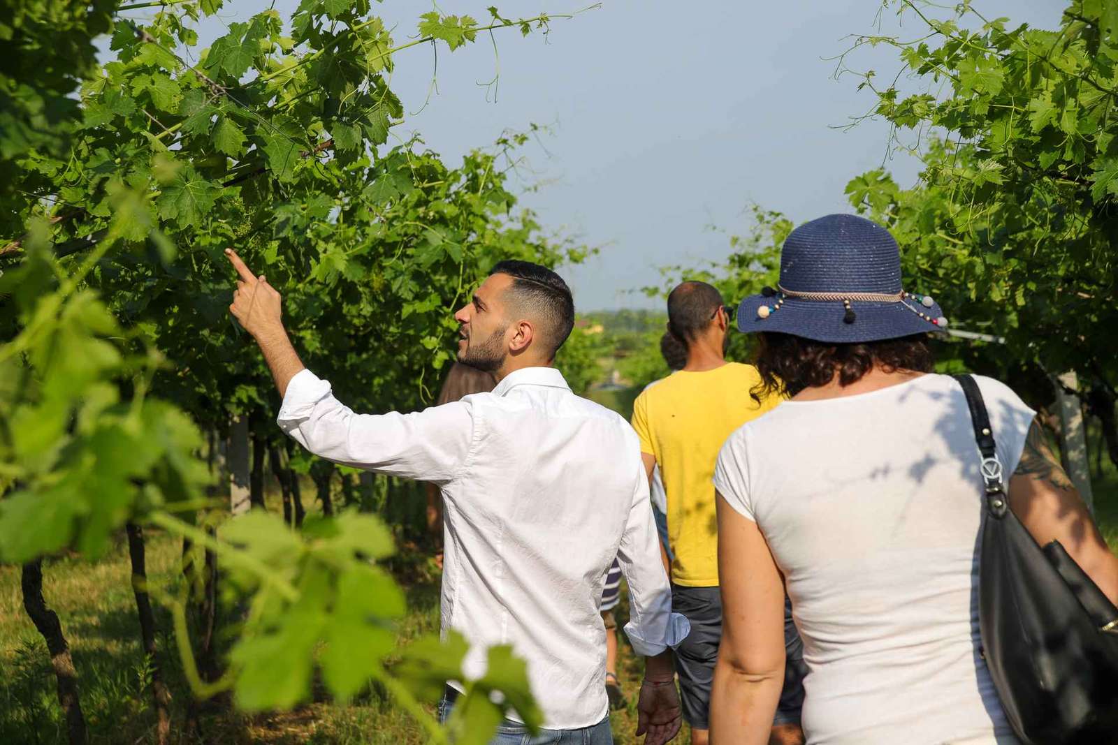 Lazise: Visita a una granja biodinámica y cata de vinos naturales