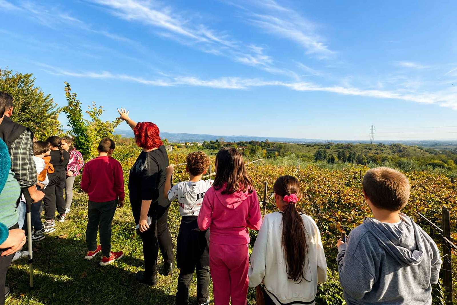 Dégustation d'huile d'olive sur le lac de Garde, domaine familial