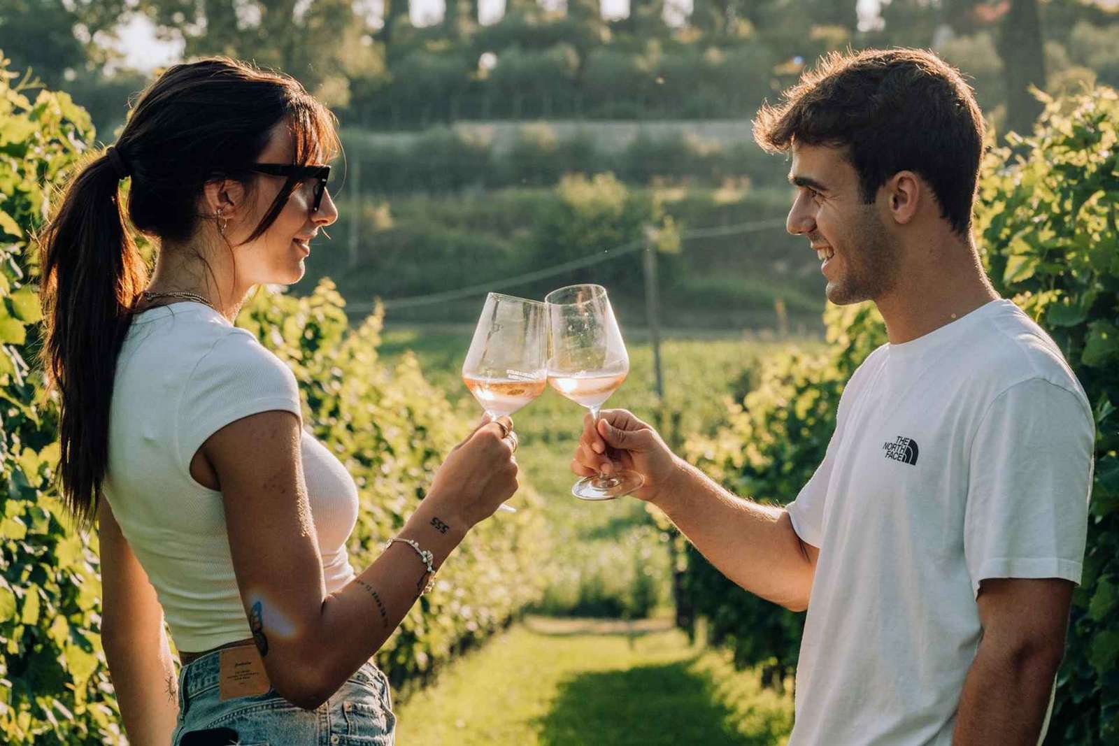 Lac de Garde : Dégustations de vins et de mets dans les vignobles