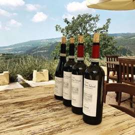 Vérone : Visite d'un vignoble et d'une cave avec dégustation de vin