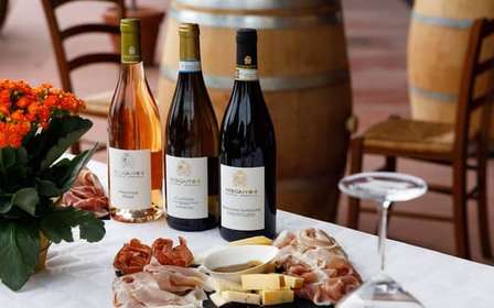Lazise: Visita à vinícola com vinhos de Garda e degustação de alimentos