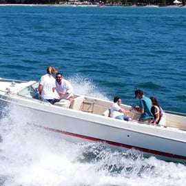 Desde Lazise: Crucero Privado por el Lago de Garda con Cata de Vinos