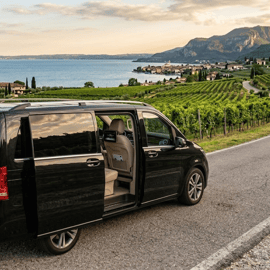 Peschiera, Lazise, Bardolino: food tasting in wineries and lunch overlooking the lake