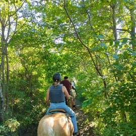 Balade à cheval en Lessinia avec guide près de Vérone