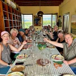 Amarone y Valpolicella: tour por bodega con traslado desde Verona