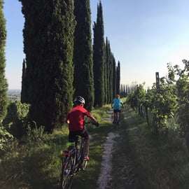 Tour en vélo électrique à Custoza : cave familiale et vin