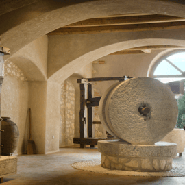 Visita y degustación de una almazara en la campiña de Verona