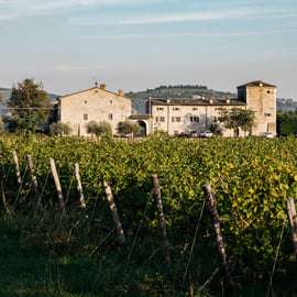 GARDASEE: WEINBERG- UND KELLERTOUREN