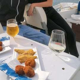 Passeio de barco em Garda até Sirmione com degustação de vinhos