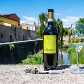 Soave: cata de vinos y visita a los viñedos en el centro histórico