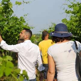 Lazise: Visita a una granja biodinámica y cata de vinos naturales