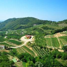 Visite de cave et dégustation d'Amarone à Fumane