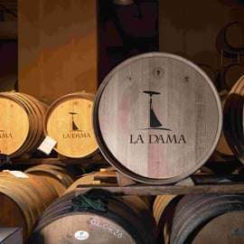 Dégustation de vins biologiques en Valpolicella, vignes et cave