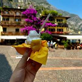 Dagstur till Limone sul Garda och Riva del Garda