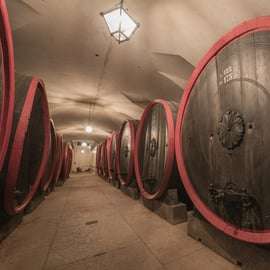 Valpolicella: Amarone Chateau Guided Tour und Weinprobe