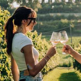 Lac de Garde : Dégustations de vins et de mets dans les vignobles