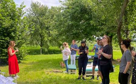 Sirmione: Vineyard Tour with Lugana Wines and Local Tastings
