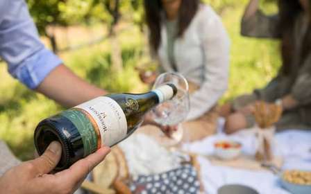 Smaka på Bardolino, Chiaretto och Lugana nära Verona tillsammans med oss