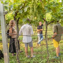 Valpolicella borkóstoló: Superiore, Amarone és Recioto összehasonlítva