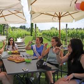 Lazise : Excursion à vélo et dégustation de vins