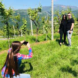 Marano di Valpolicella: DOP-Olivenölverkostung erleben