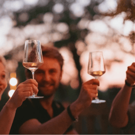 Lac de Garde : Visite du vignoble et dégustation sur les collines