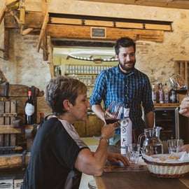 Desde Verona: Visita a las bodegas de Valpolicella con vendimias de Amarone