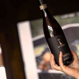 Amarone proeverij in Valpolicella: vier jaargangen bij Ca' Besi