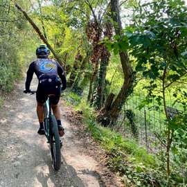 Desenzano: e-Bike Tour mit Weinverkostung