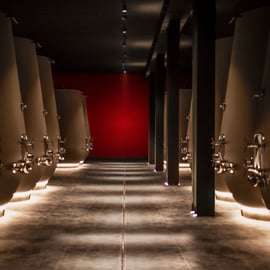 Valpolicella: Tour guiado à vinícola de 1,5 hora com degustação de vinhos