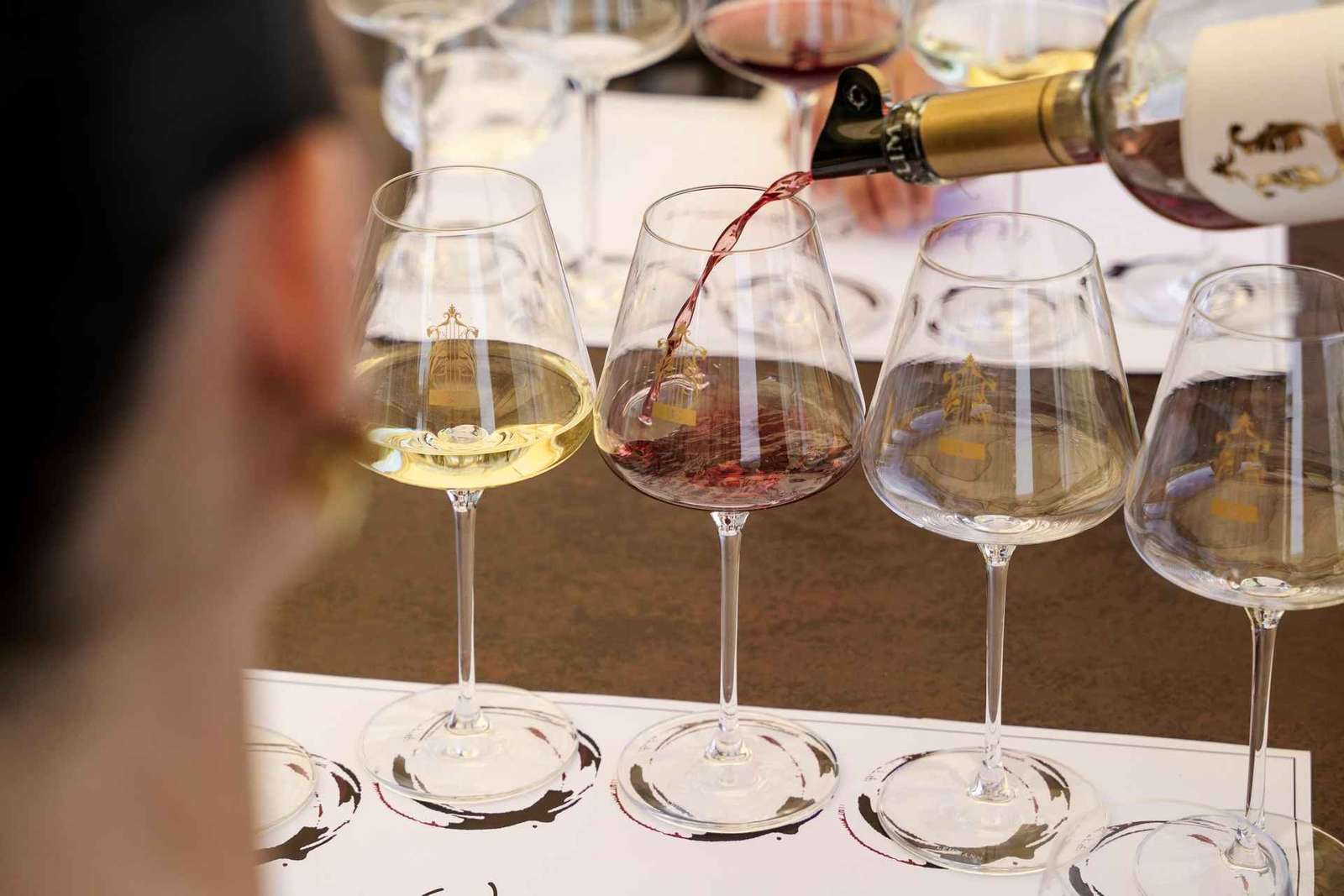 Scenic aperitif in Valpolicella with 3 white and rosé wines