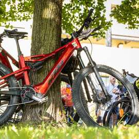 Visite en vélo électrique en Valpolicella, avec dégustation