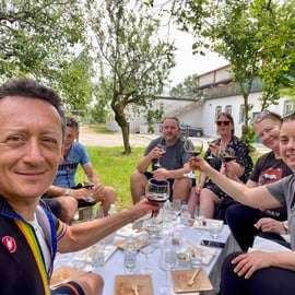 Sirmione: Tour dei vigneti con i vini Lugana e degustazioni locali
