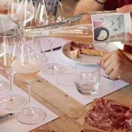 LUNCH IN VERONA: LICHTE LUNCH TUSSEN DE WIJNGAARDEN EN DE WIJNKELDER