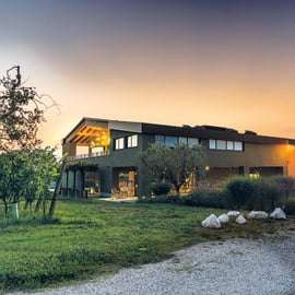 Desenzano: tasting of Lugana wines with vineyard tour