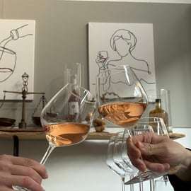 Dégustation de vins à Peschiera del Garda avec sommelier