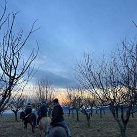 Balade à cheval en Lessinia avec guide près de Vérone