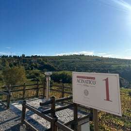 Visite de cave et dégustation d'Amarone à Fumane