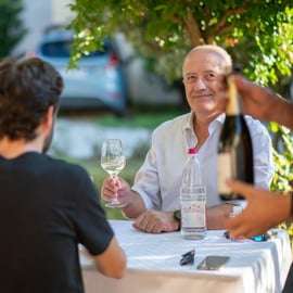 Soave: cata de vinos y visita a los viñedos en el centro histórico