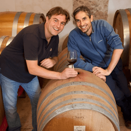 Boutique Winery Tour & Tasting in Valpolicella