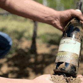 Boutique Winery Tour & Tasting in Valpolicella