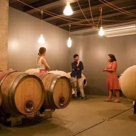 Bardolino: Tour gastronomico dei vigneti con degustazione di vini e prodotti tipici