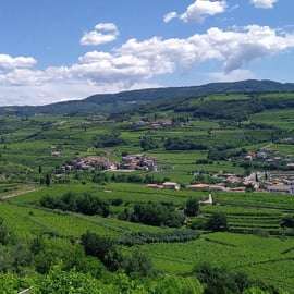 Vertikální degustace Amarone: čtyři ročníky a sklep