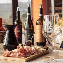 Dégustation de vins biologiques en Valpolicella, vignes et cave